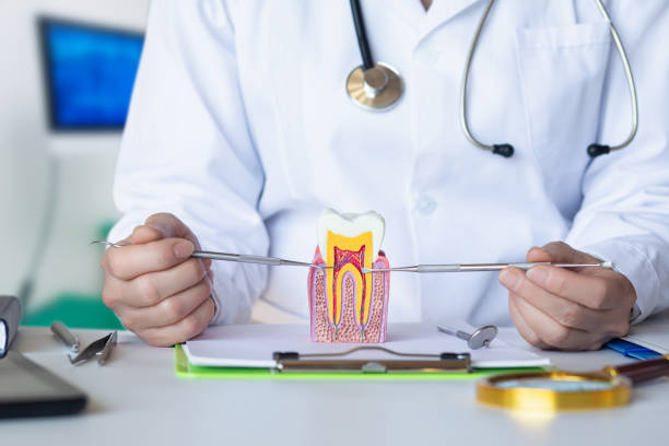 Best Emergency Treatment for Dental Infections or Abscesses in Keowee Key, SC
